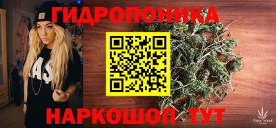 амф Дубна