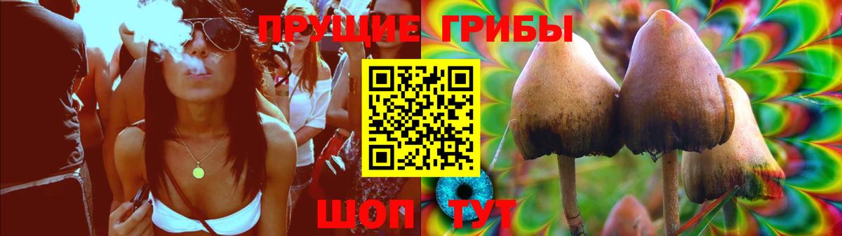 Псилоцибиновые грибы GOLDEN TEACHER Новосибирск
